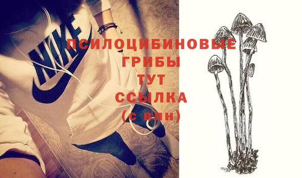a pvp Воткинск