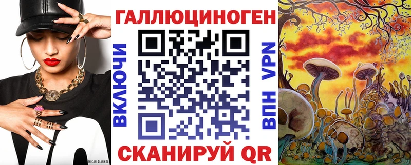 Псилоцибиновые грибы Cubensis  Солигалич 